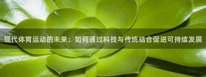 公海赌赌船官方正版app集团logo：现代体育运动的