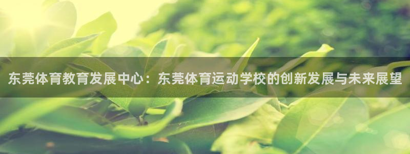 公海赌赌船官网下载招商电话是多少：东莞体育教育发展中