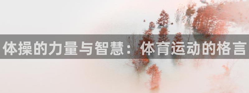 公海赌赌船官网下载招商电话是多少：体操的力量与智慧：