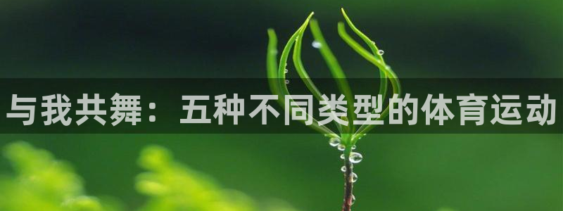 公海赌赌船官网下载