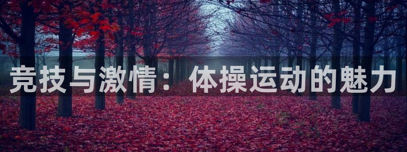 公海赌赌船官网下载平台是正规平台吗知乎：竞技与激情：