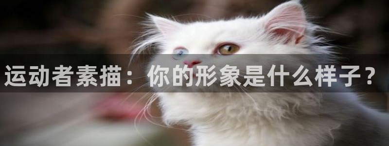 公海赌赌船官网下载平台：运动者素描：你的形象是什么样