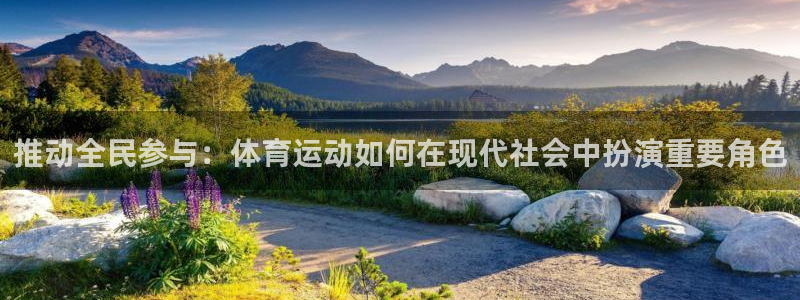 公海赌赌船官方正版app集团简介