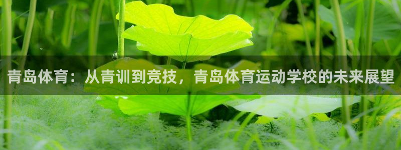 公海赌赌船官网下载招商电话地址查询