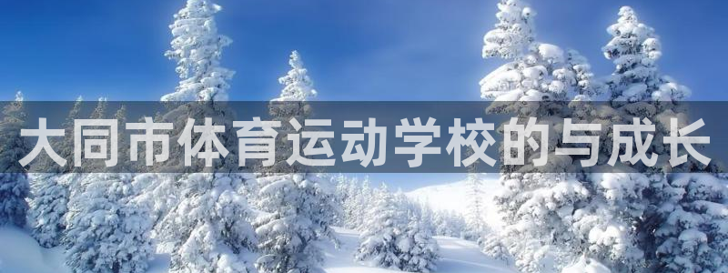 公海赌赌船官方集团官网