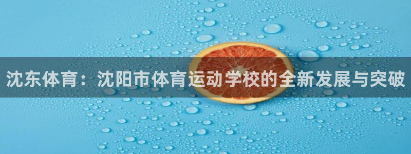 公海赌赌船官网下载是干嘛的公司：沈东体育：沈阳市体育运动学校