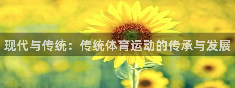 公海赌赌船官网下载招商电话号码是多少啊：现代与传统：传统体育