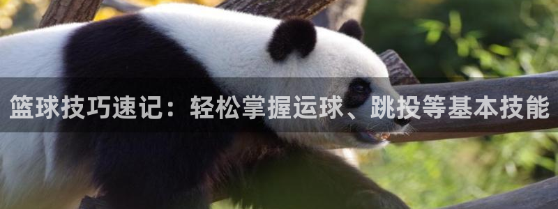 公海赌赌船官网下载平台假的吗是真的吗