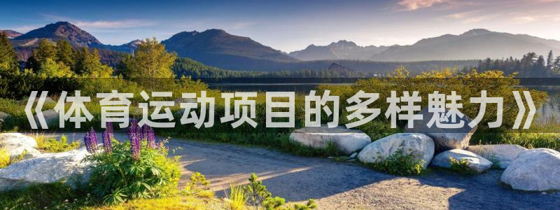 公海赌赌船官网下载招商电话地址查询：《体育运动项目的